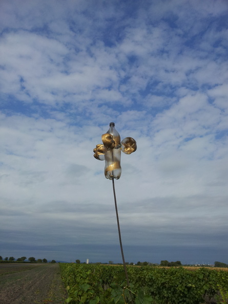 20120923_114440.jpg